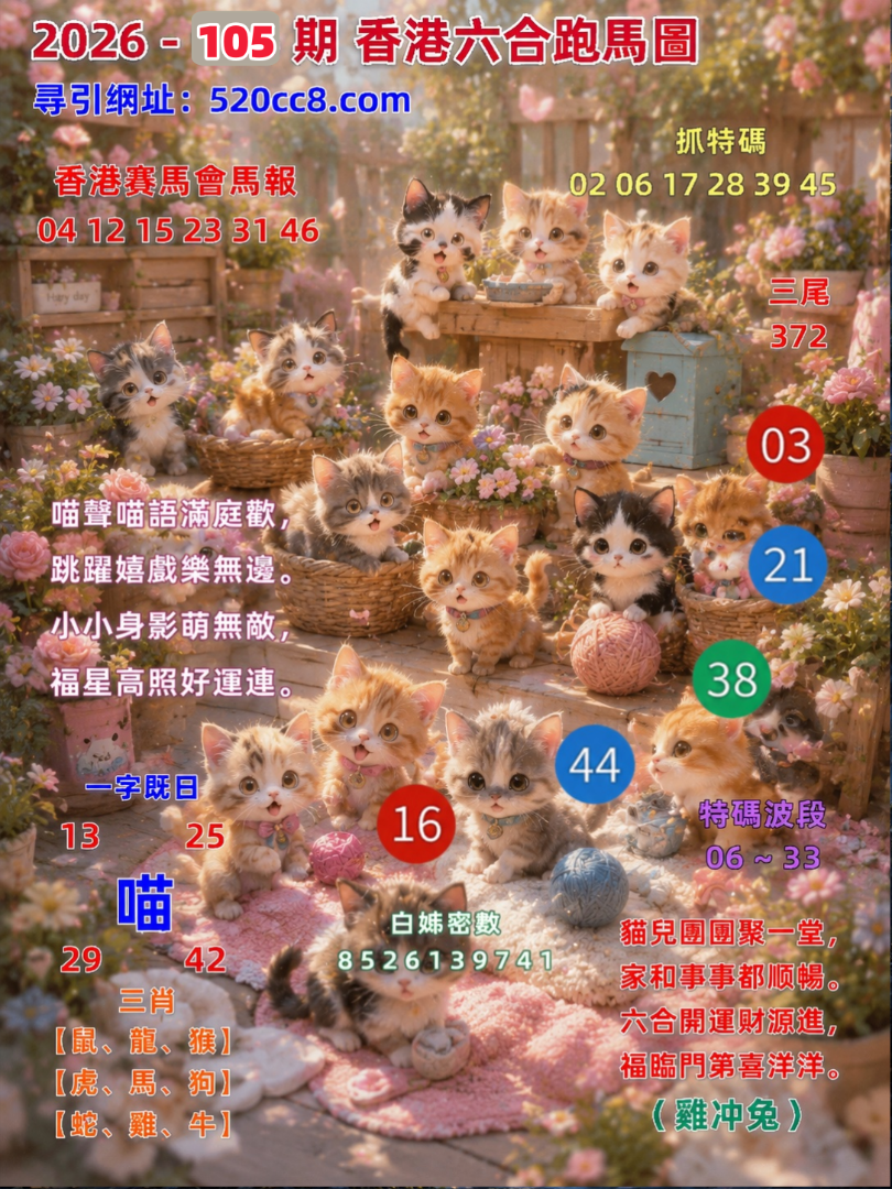 香港六合105期