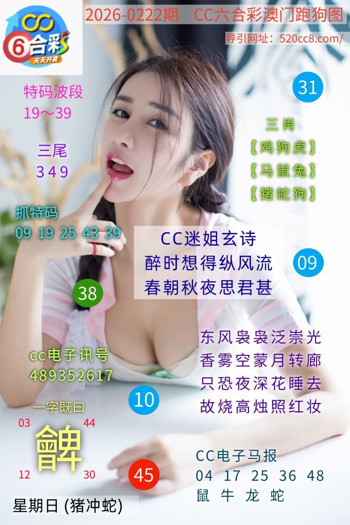 CC六合澳门跑马图0222期