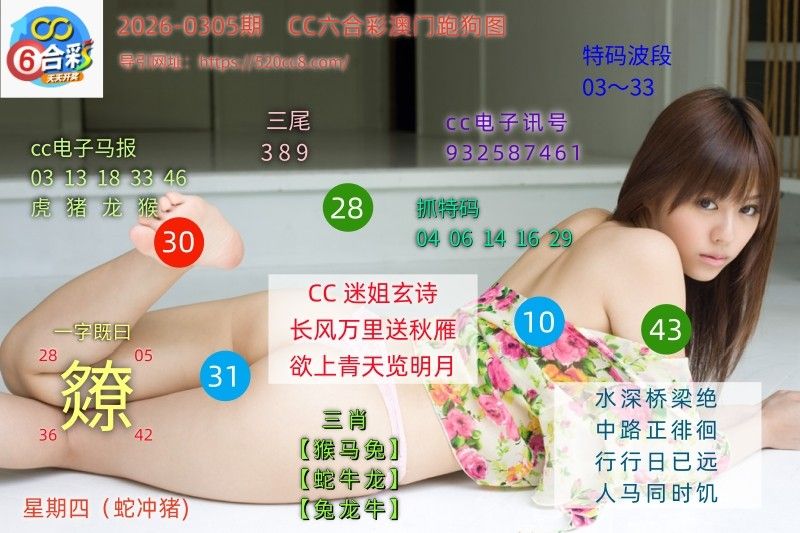 CC六合澳门跑马图0305期