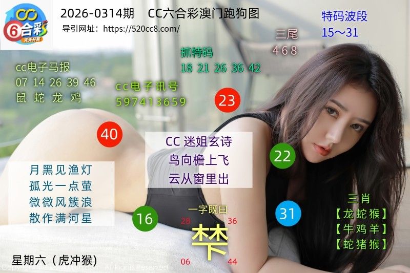 CC六合澳门跑马图0314期