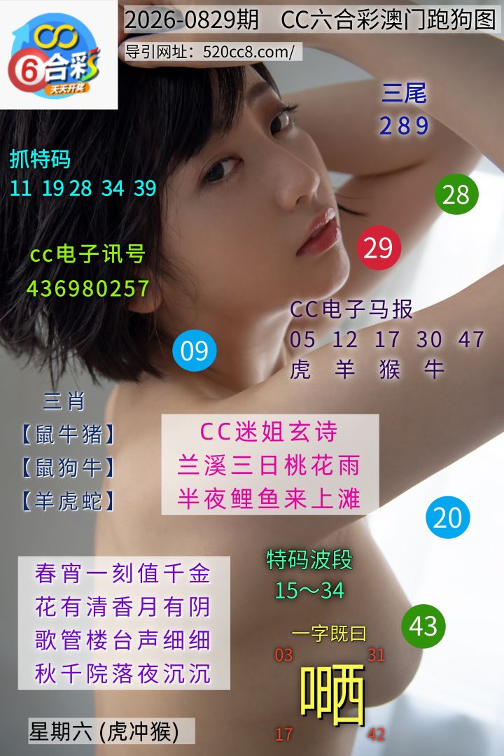 CC六合澳门跑马图0829期